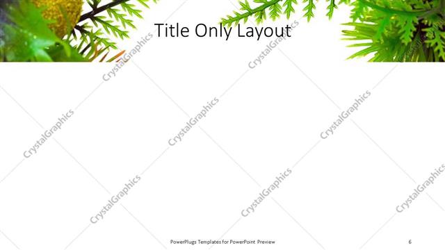 Title Only presentation slide layout