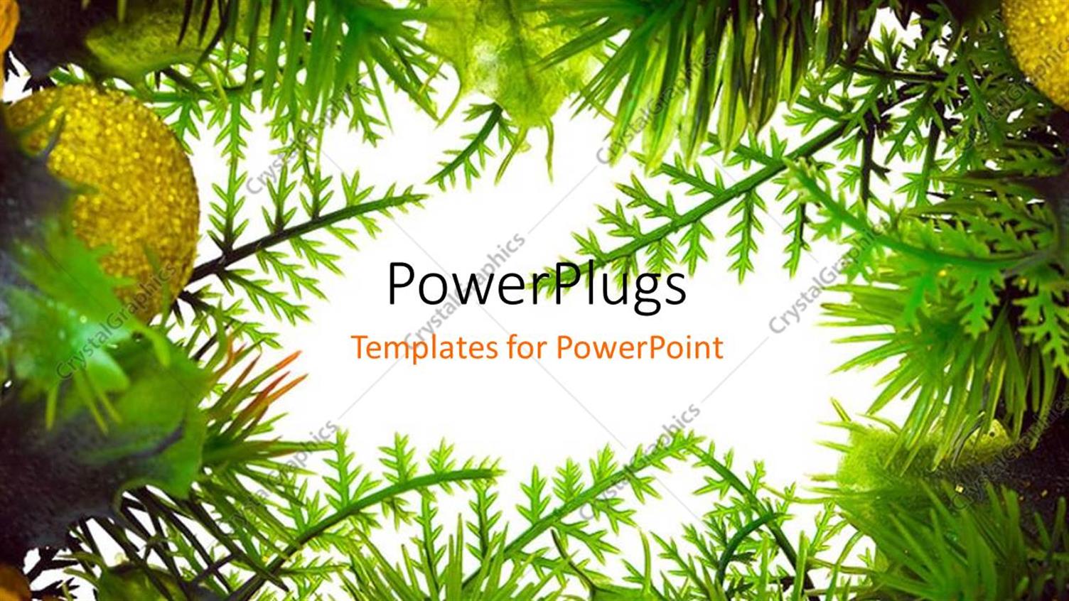 Premium Template for PowerPoint & Google Slides 