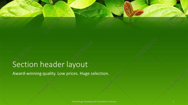 Section Header presentation slide layout