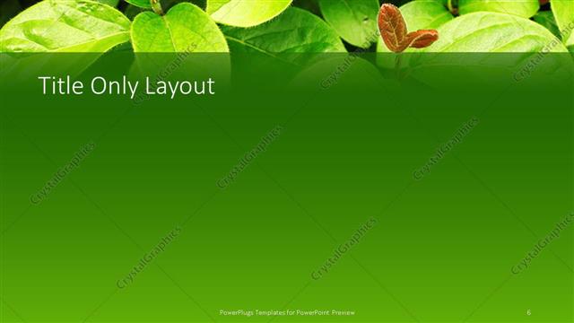 Title Only presentation slide layout