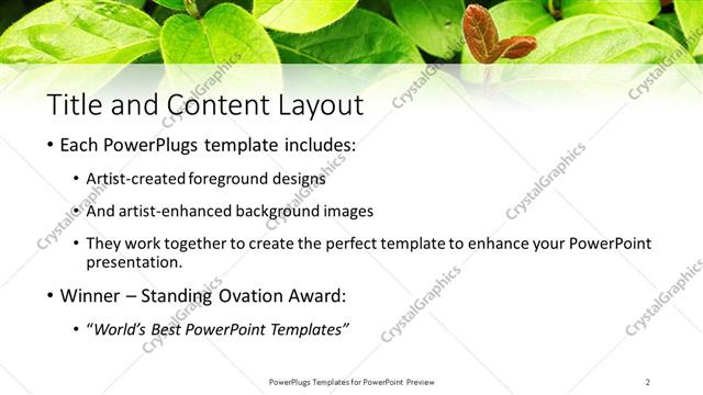 Title and Content presentation slide layout