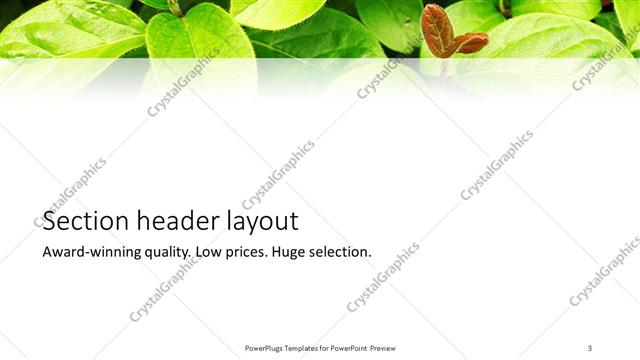 Section Header presentation slide layout