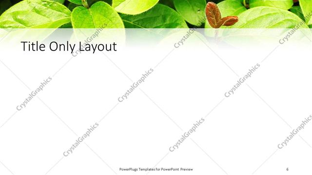 Title Only presentation slide layout