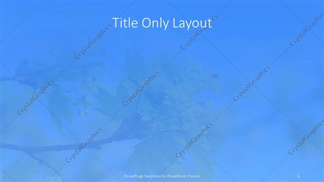 Title Only presentation slide layout
