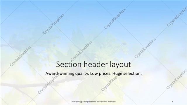 Section Header presentation slide layout