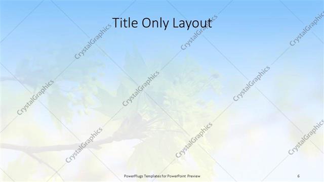 Title Only presentation slide layout