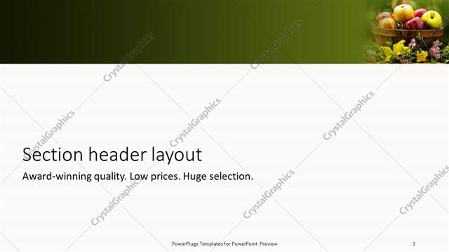 Section Header presentation slide layout