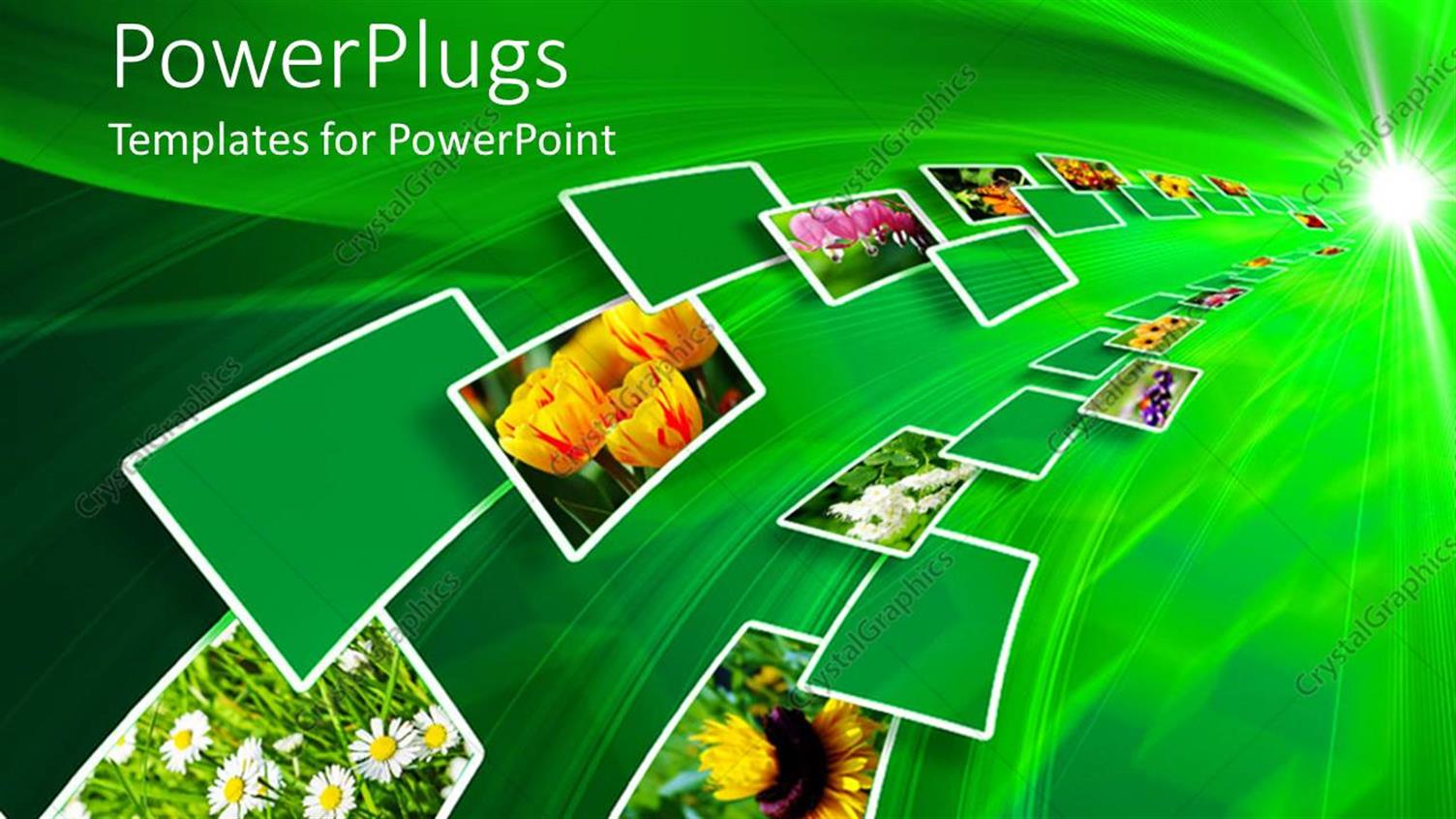 Premium Template for PowerPoint & Google Slides 