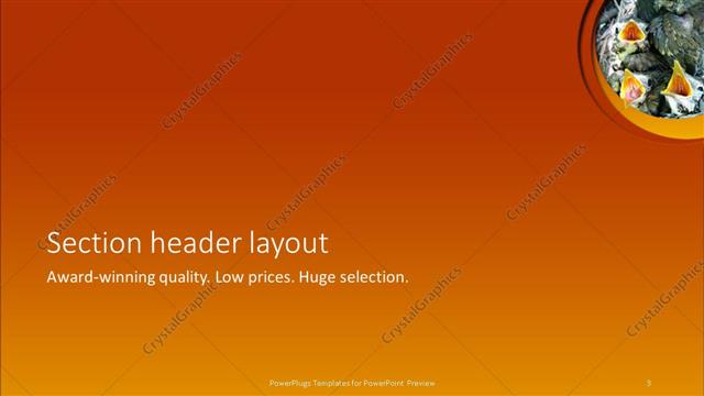 Section Header presentation slide layout
