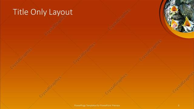 Title Only presentation slide layout