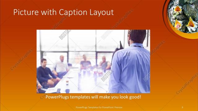 Picture with Caption presentation slide layout