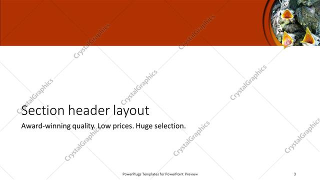 Section Header presentation slide layout