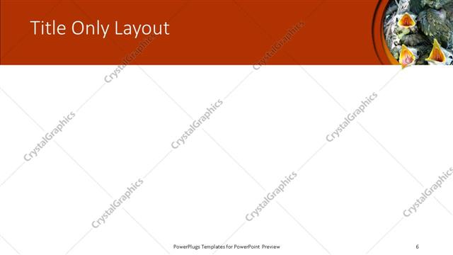 Title Only presentation slide layout