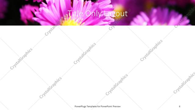 Title Only presentation slide layout