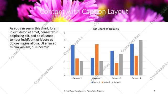 Content with Caption presentation slide layout