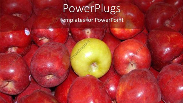  Presentation with green apples - Lots of red apples with a green one in the middle