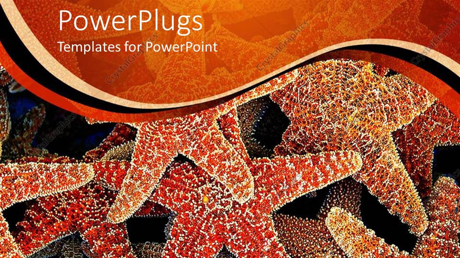 Premium Template for PowerPoint & Google Slides 