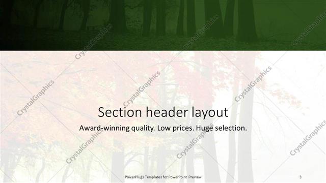 Section Header presentation slide layout