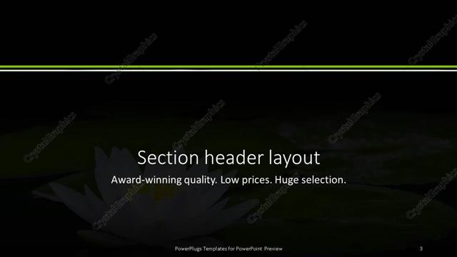 Section Header presentation slide layout