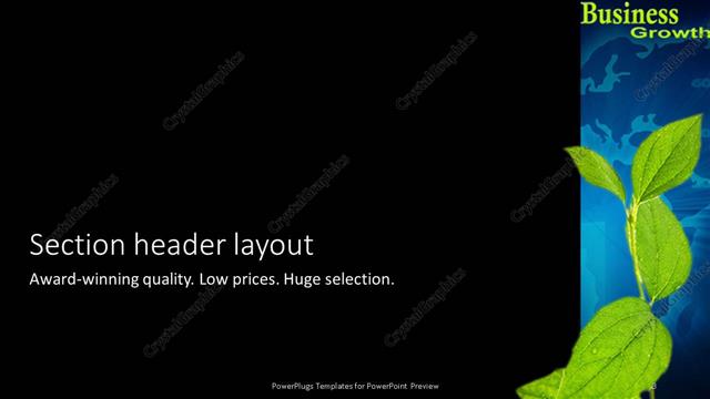 Section Header presentation slide layout