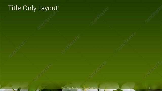 Title Only presentation slide layout