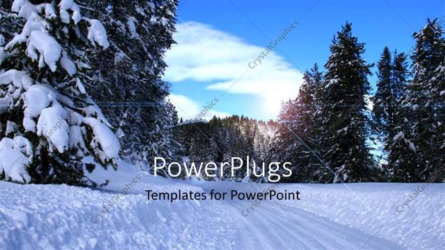  Presentation with trees - Lots of snow with many trees and a clear sky