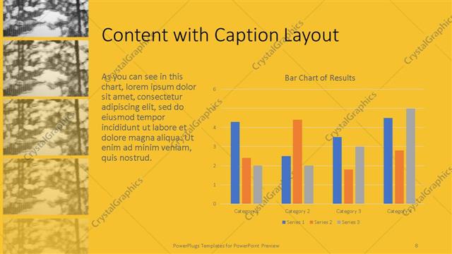 Content with Caption presentation slide layout