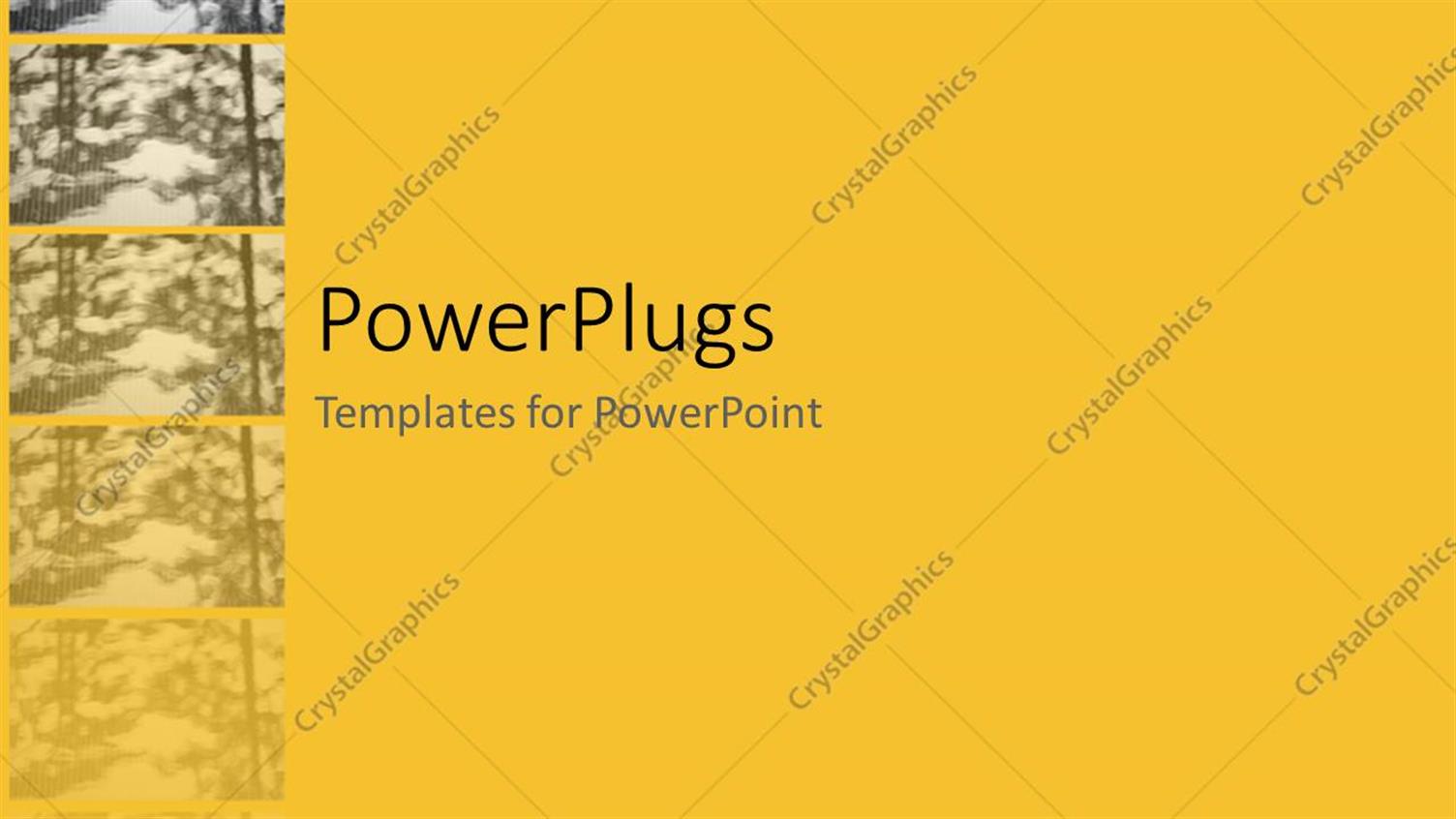 Premium Template for PowerPoint & Google Slides 