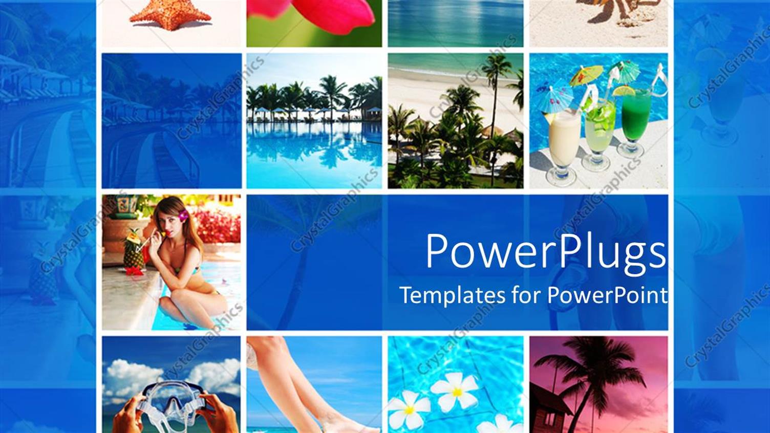 Premium Template for PowerPoint & Google Slides 