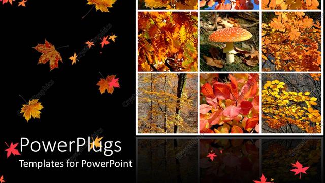  Presentation with leaves - Lots of tiles with dried autumn leaves and black background