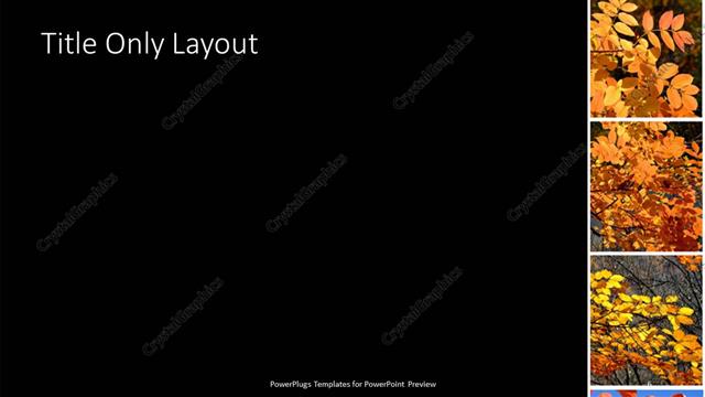 Title Only presentation slide layout