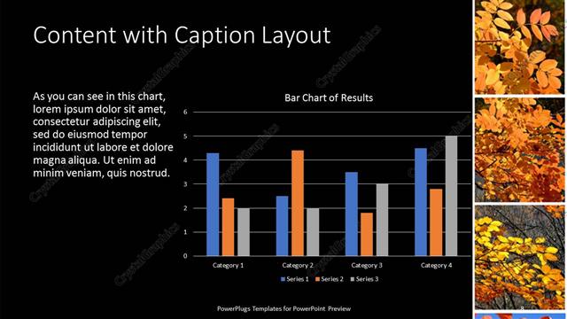 Content with Caption presentation slide layout