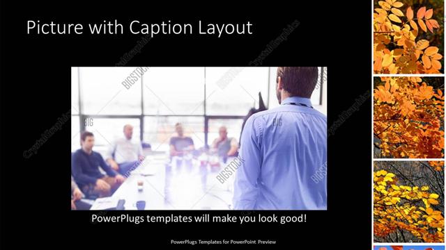 Picture with Caption presentation slide layout