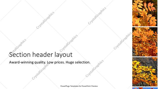 Section Header presentation slide layout