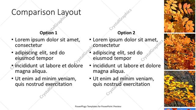 Comparison presentation slide layout