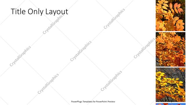 Title Only presentation slide layout