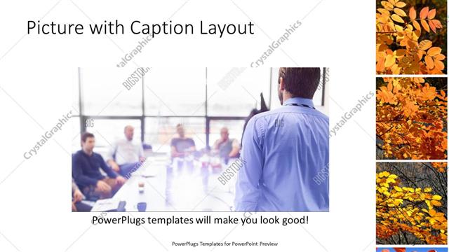 Picture with Caption presentation slide layout
