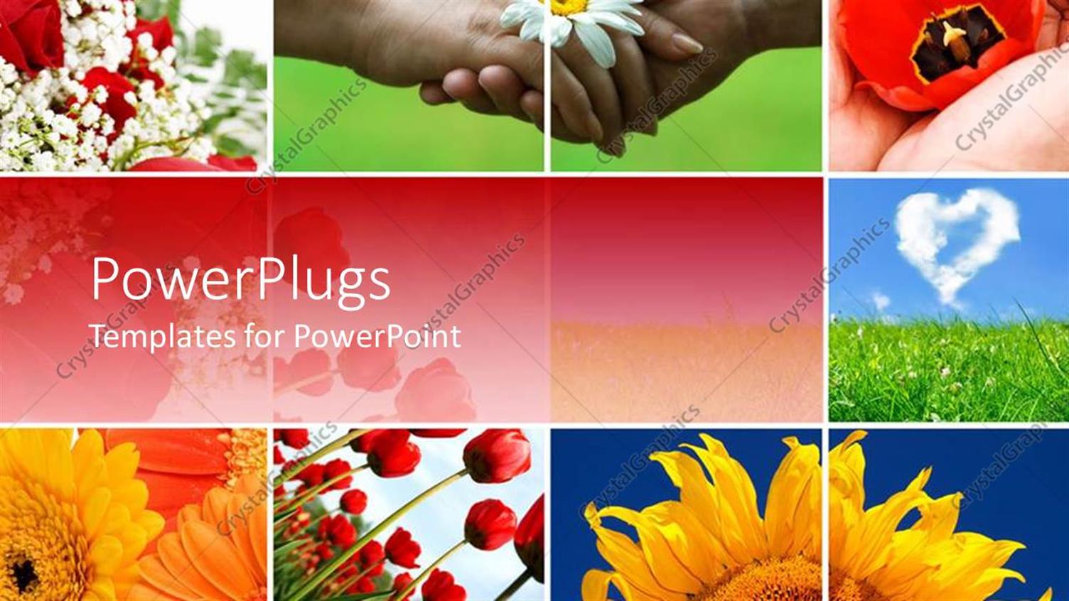 Premium Template for PowerPoint & Google Slides 