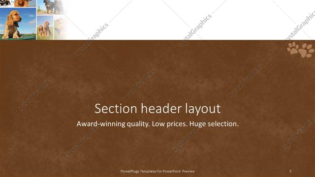 Section Header presentation slide layout
