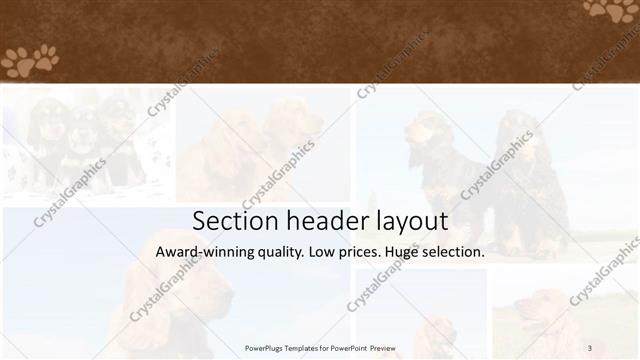 Section Header presentation slide layout
