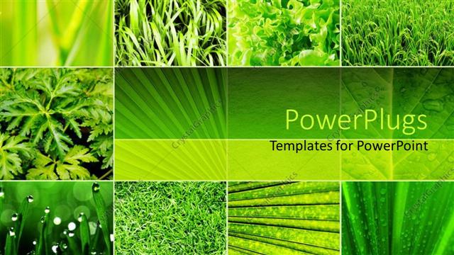  Presentation with shapes - Lots of tiles showing diffeent green plants with different leaf shapes