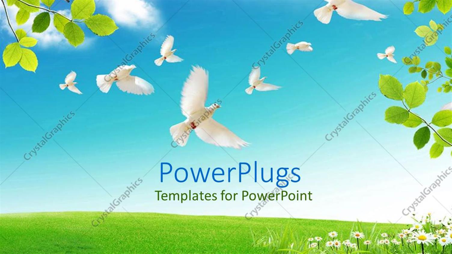 Premium Template for PowerPoint & Google Slides 