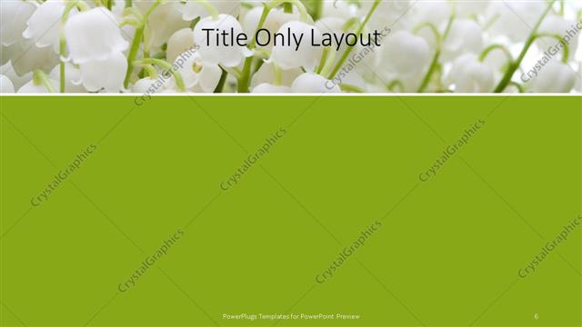 Title Only presentation slide layout