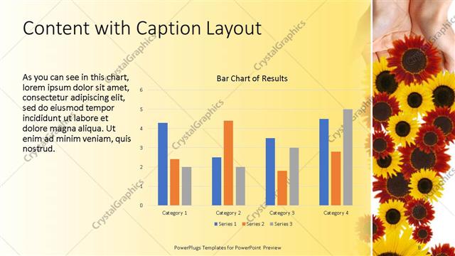 Content with Caption presentation slide layout