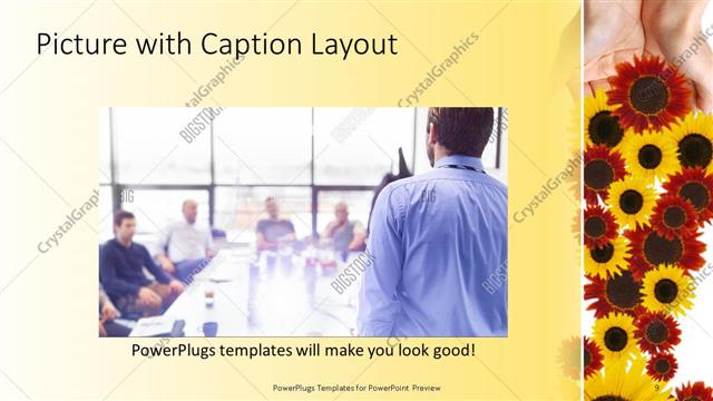 Picture with Caption presentation slide layout