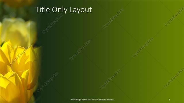 Title Only presentation slide layout