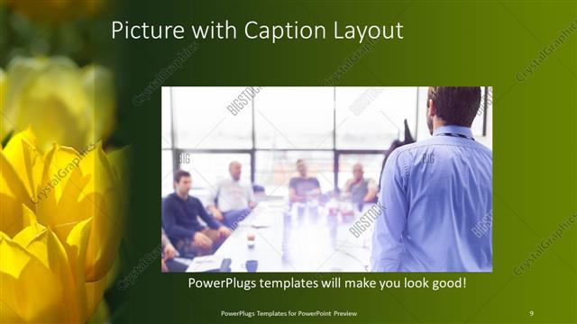 Picture with Caption presentation slide layout
