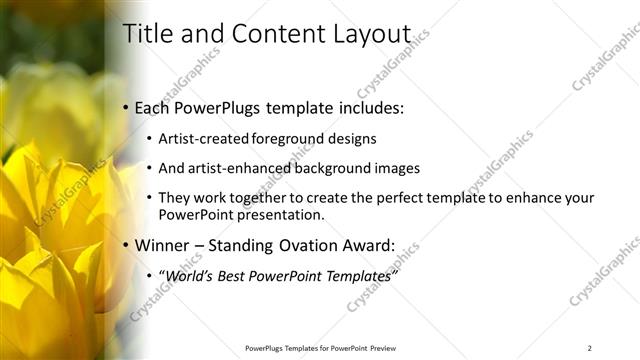 Title and Content presentation slide layout