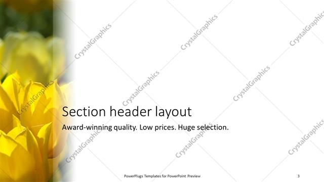 Section Header presentation slide layout