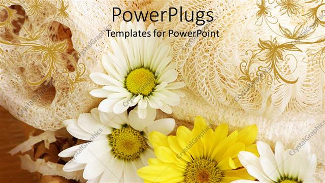  Presentation with sponges - Lots of yellow and white flowers with sponges and towels